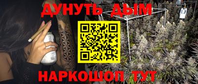 каннабис Славгород