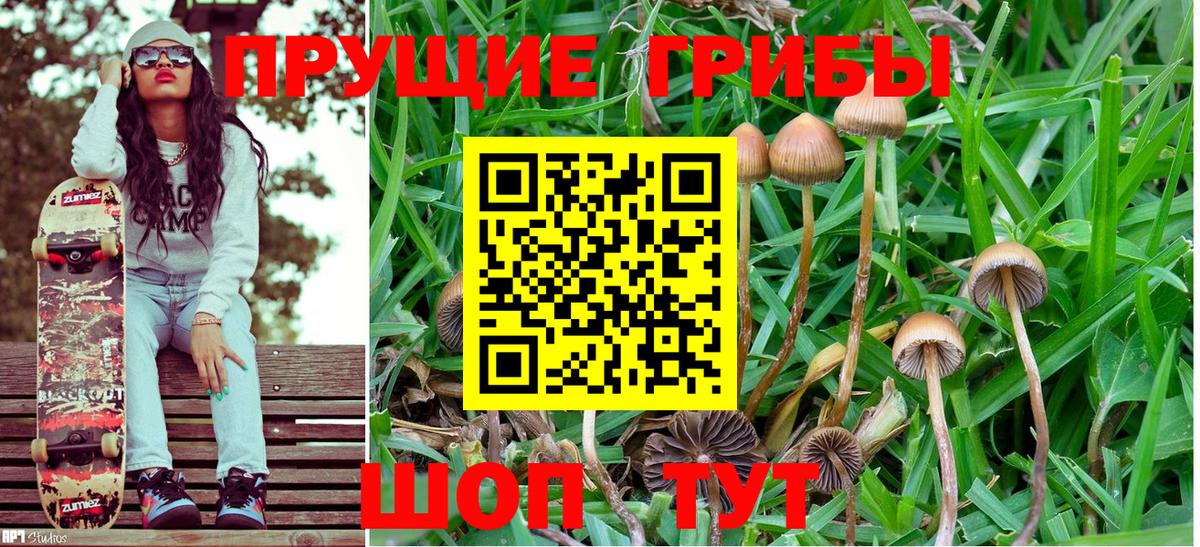Галлюциногенные грибы Psilocybine cubensis  Вход с VPN  Новошахтинск 