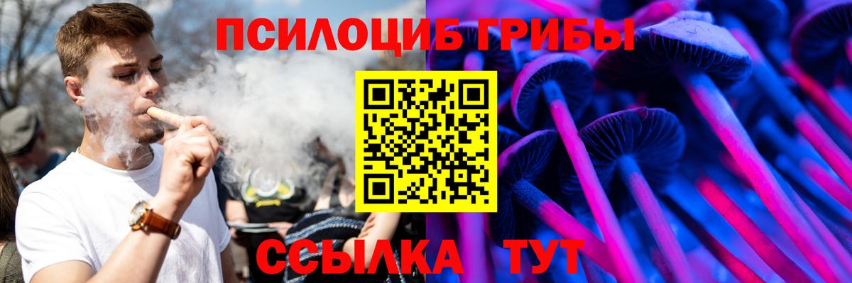 Псилоцибиновые грибы мухоморы Новошахтинск